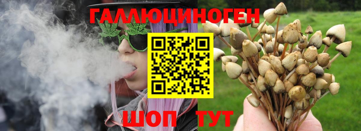 Псилоцибиновые грибы Psilocybine cubensis  Вход с VPN  Галлюциногенные грибы прущие грибы  Строитель 